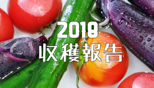 【2018】家庭菜園（ミニトマト・桃太郎・きゅうり・ナス）の収穫報告